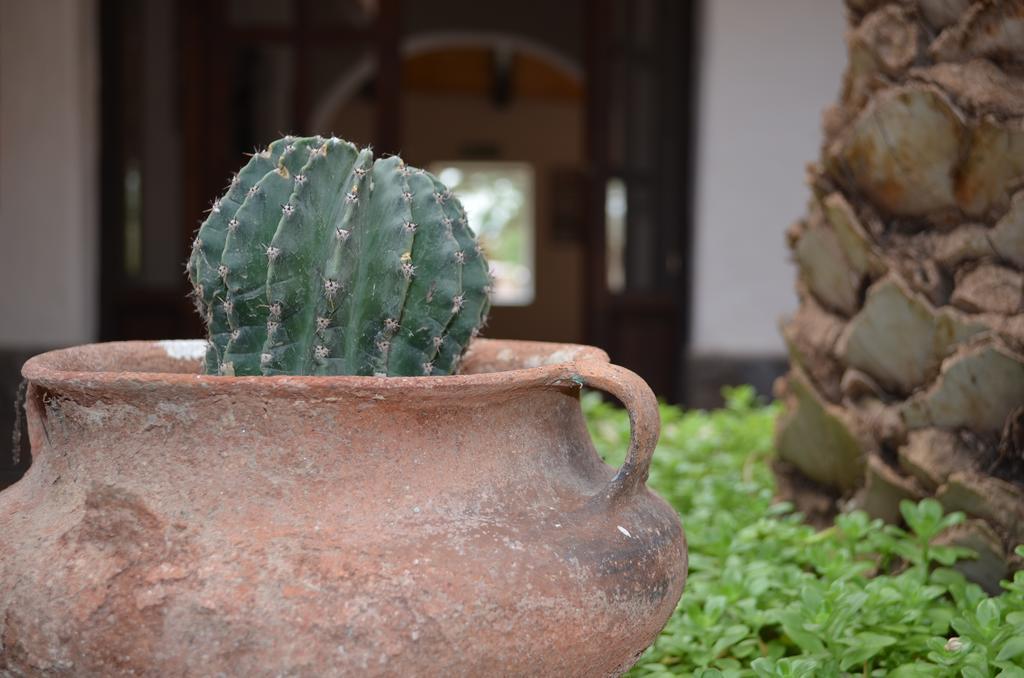 Finca El Carmen Angastaco Exterior photo